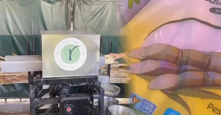 কিউবার একটি সুগার মিল